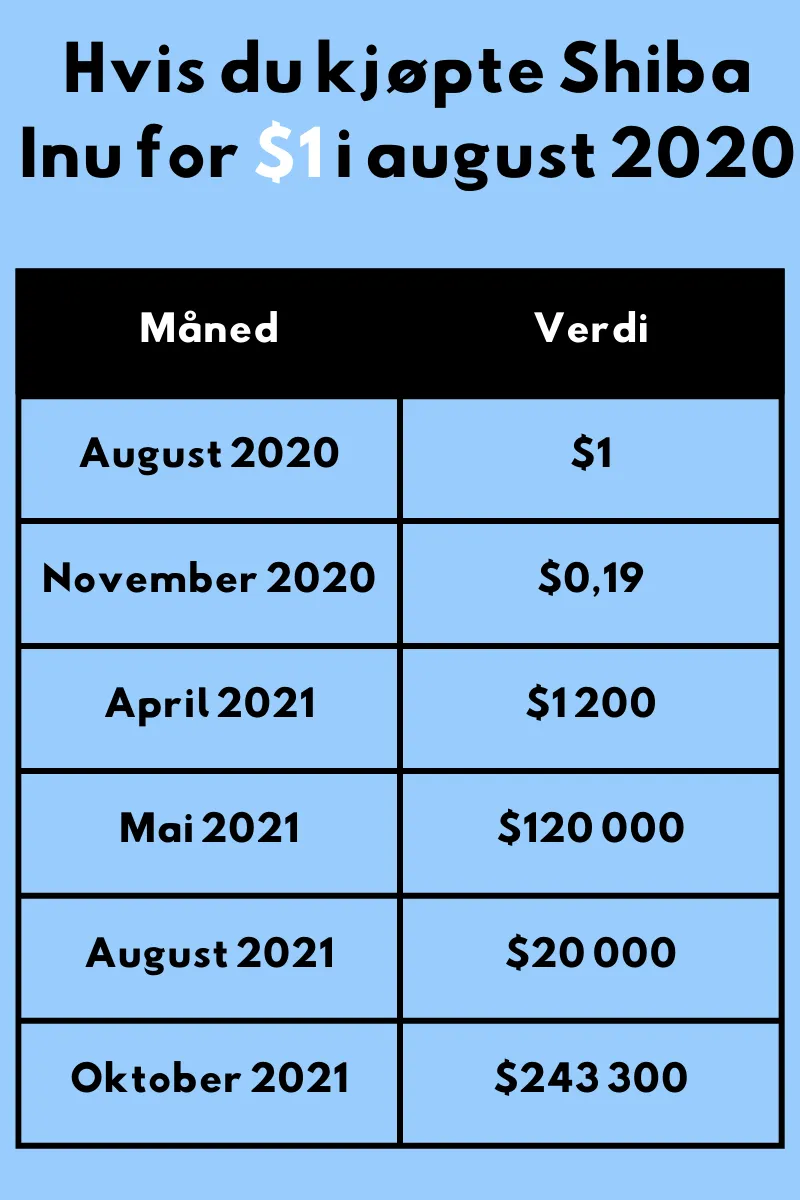 Tabell som viser verdien av Shiba Inu-investeringer fra $1 i august 2020, og hvordan verdien utviklet seg frem til oktober 2021.